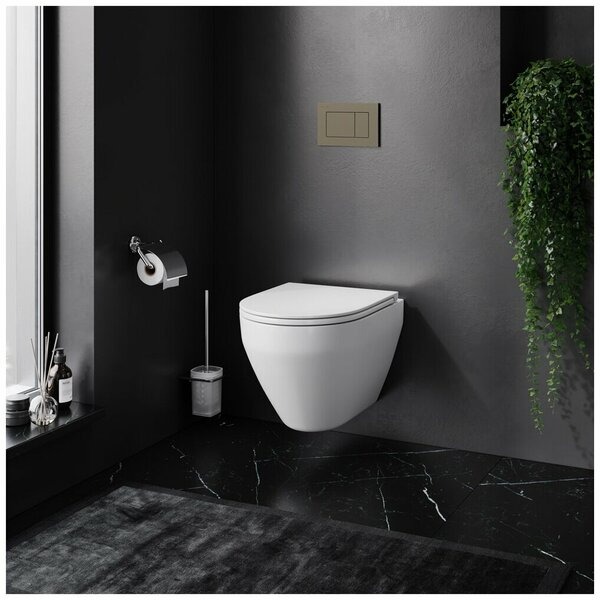 Комплект унитаза AM.PM Spirit FlashClean IS3701700